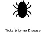 Ticks & Lyme Disease