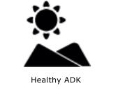 Healthy ADK